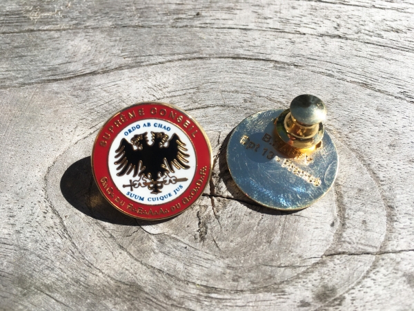 Pin's divers